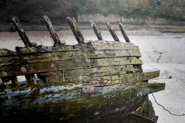 istock An old beached wooden boat falling apart and decaying at low tide 1311355297