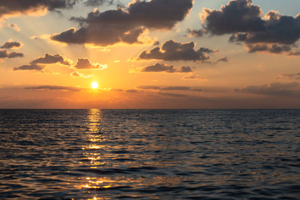 istock Sunset on the sea with a sunny path 1311357564