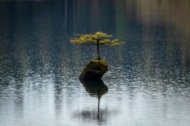 istock Raindrops On Fairy Lake 1311357597