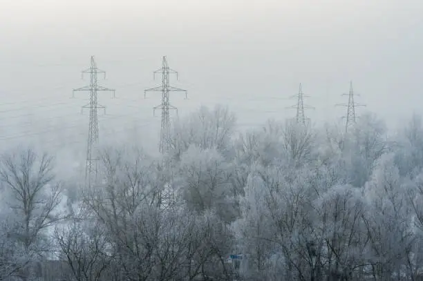 Photo of High-voltage towers along snow-covered trees during frost with fog