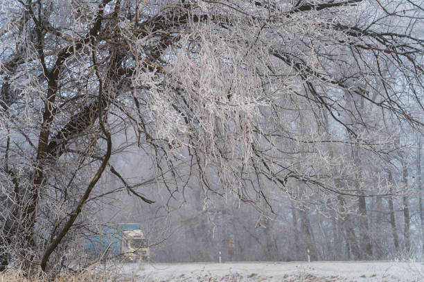 istock road in winter along snow trees 1311357864