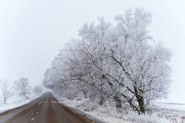 istock road in winter along snow trees 1311357867