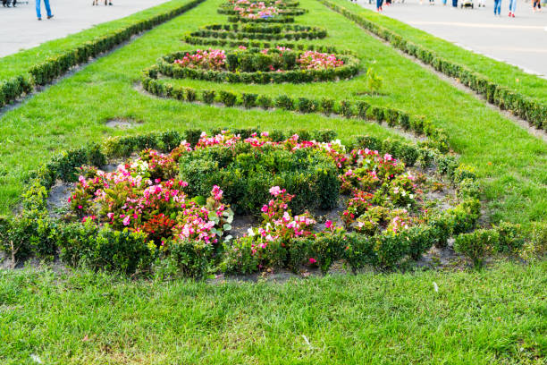 istock flowerbed with flowers in the landscape 1311357918