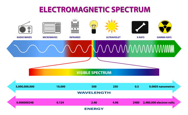 ilustraciones, imágenes clip art, dibujos animados e iconos de stock de conjunto de diagrama de espectro electromagnético o espectro de ondas de radio o diagrama de luz ultravioleta. eps 10 vector, fácil de modificar - spectrum