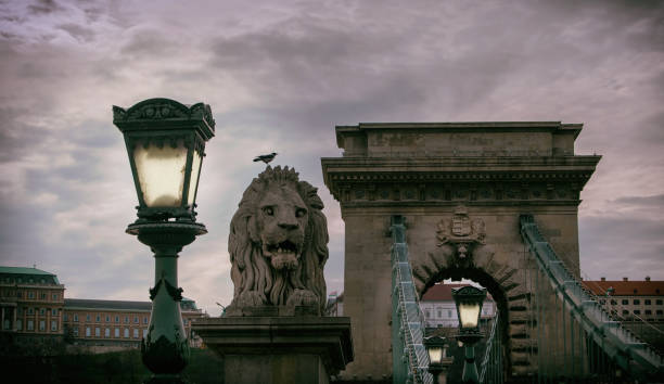 istock Chain bridge in Budapest with a lion statue 1311362763