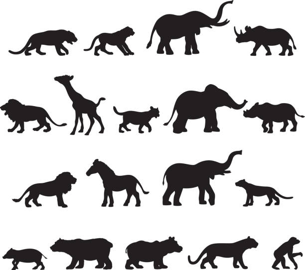 사파리 애니멀 실루엣 - zoo animal safari giraffe stock illustrations