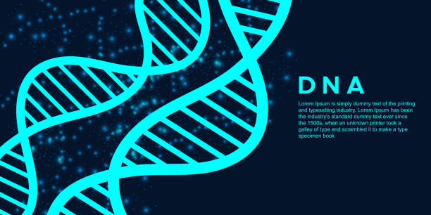 illustrazioni stock, clip art, cartoni animati e icone di tendenza di molecola astratta di dna, elica al neon su sfondo blu scuro. scienze mediche, genetica, biotecnologia, chimica, biologia - dna helix helix model evolution