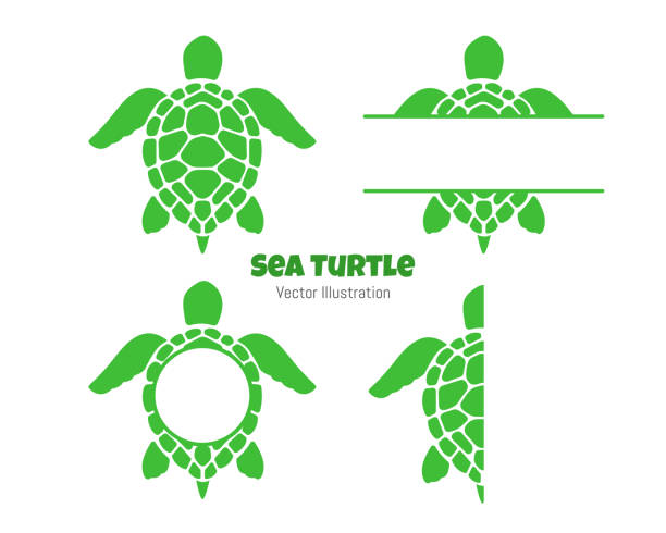 Swimming sea turtle text box vector Leave space for text. Isolated on white background Swimming sea turtle text box vector Leave space for text. Isolated on white background sea turtle stock illustrations