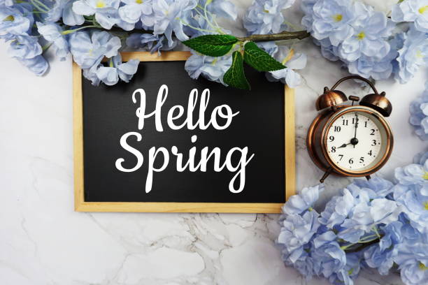 istock Hello Spring text on wooden blackboard and flower decoration on marble background 1311374876