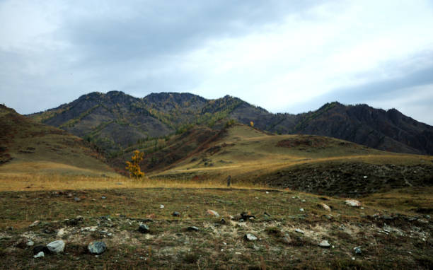 istock A flat valley surrounded by mountains with a scattering of large stones. 1311375746