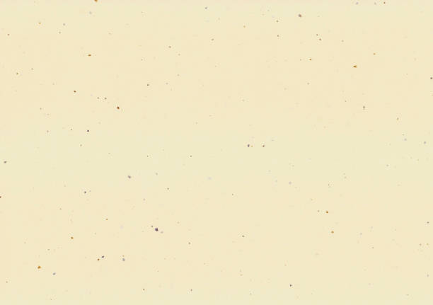 Beige Japanese paper texture background