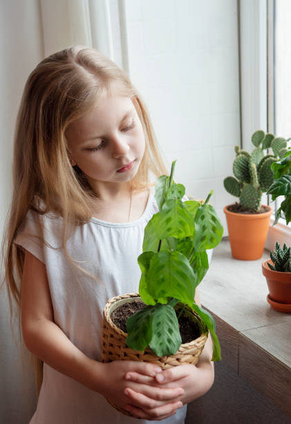 istock Little girl caring for houseplants 1311384006