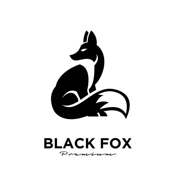 illustrazioni stock, clip art, cartoni animati e icone di tendenza di design di volpe nera silhouette animale mascotte modello illustrazione vettoriale - volpe