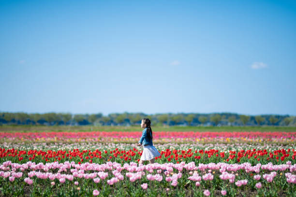 istock Girl playing in a tulip field 1311390086