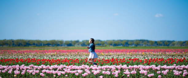 istock Girl playing in a tulip field 1311390096