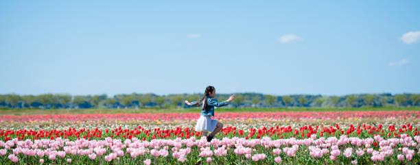 istock Girl playing in a tulip field 1311390108