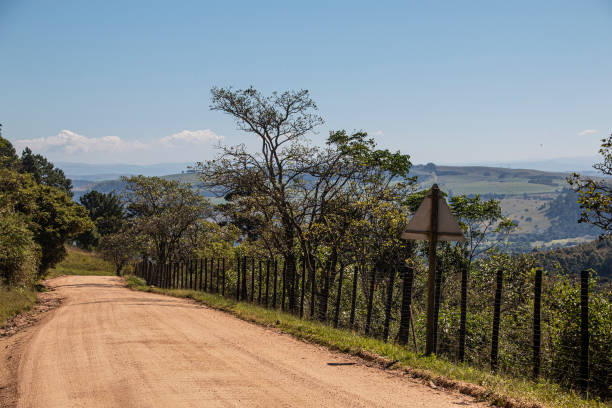 istock Dirt Road Bordered by Fence and Green Vegetation 1311393048