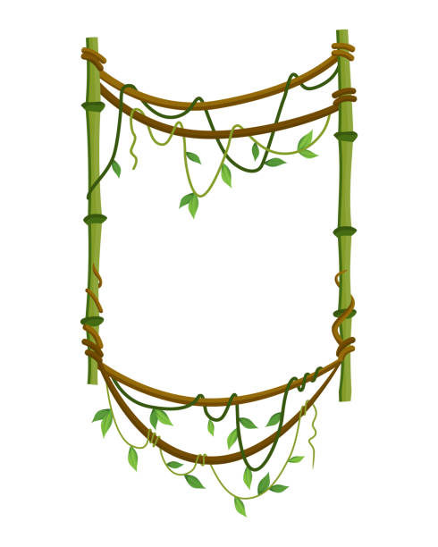 熱帯リアナフレーム、葉とジャングル植物の枝。緑の葉を持つ熱帯登山リアナのつる。漫画リアナフレーム形。リアナ支店 - ivy vine leaf frame点のイラスト素材／クリップアート素材／マンガ素材／アイコン素材
