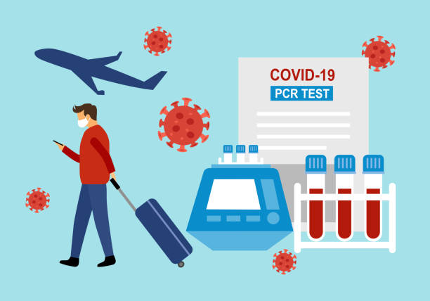 pcr covid19 coronavirus-test für flugzeug-reisevektor-illustration. nasenabstrich-testergebnis mit flugflugzeug. - cell human cell plant cell virus stock-grafiken, -clipart, -cartoons und -symbole