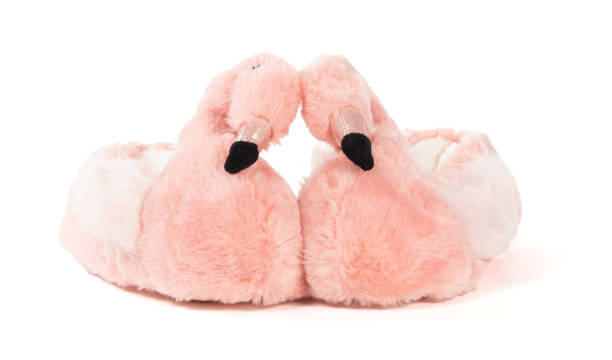 istock Flamingo slippers isolated on a white background 1311398365