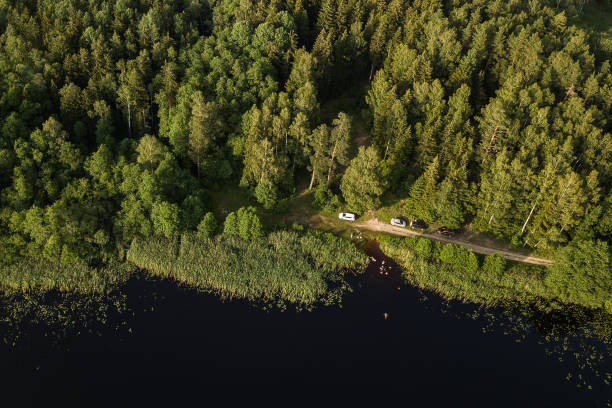 istock Lake Podnieku in summer evening, captured from above 1311400861