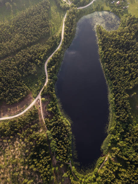 istock Lake Podnieku in summer evening, captured from above 1311400887