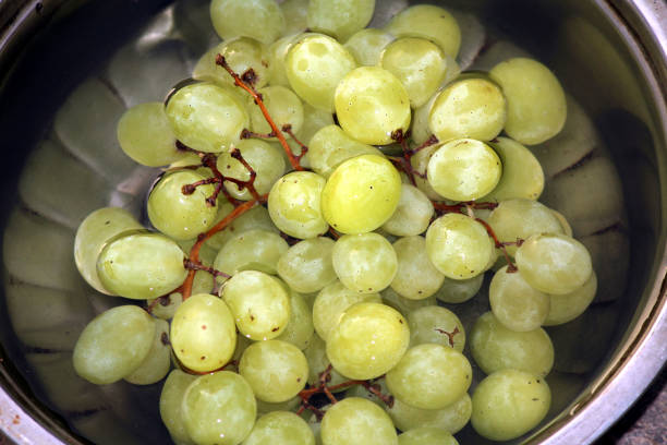 istock green sweet grapes in water 1311401264