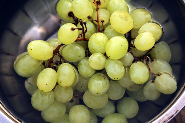 istock green sweet grapes in water 1311401275