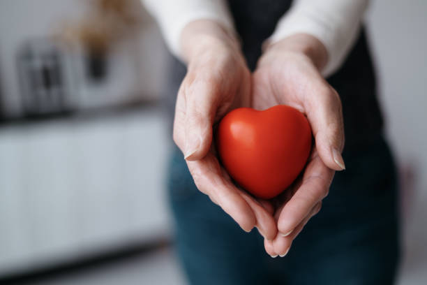 image of a red heart in the palms of a woman stock photo