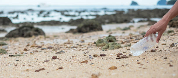 istock Volunteer hand pick up trash, plastic Bottle garbage on the beach. Ecology,  Environmental, pollution and Ecological problem concept 1311402751