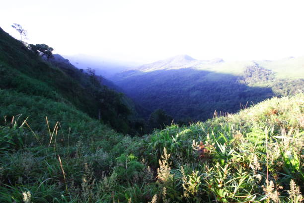 istock Landscape viewed at Phu Soi Dao National Park, Uttaradit, Thailand 1311405457