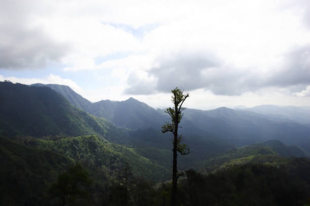 istock Landscape viewed at Phu Soi Dao National Park, Uttaradit, Thailand 1311405549