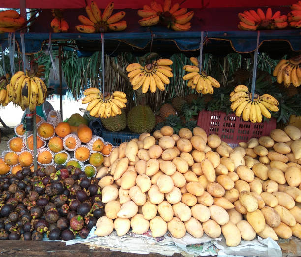 istock A counter with Thai vegetables and fruits (mangosteen, mango, rambutan, pineapple, banana, watermelon). 1311406162