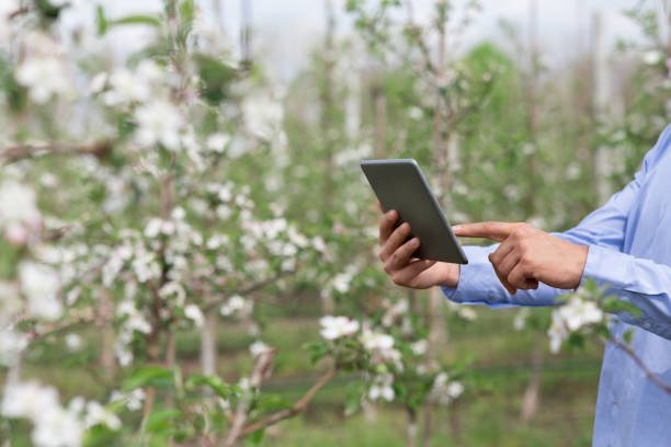 istock Modern business, industrial control, gardening and farm work 1311406341