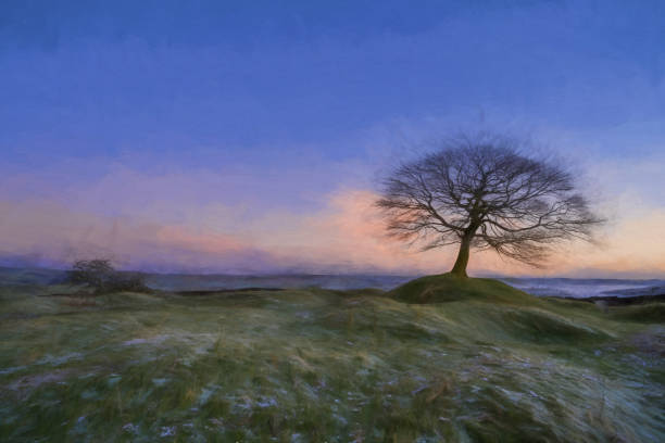 istock Lone tree on Grindon Moor, Staffordshire, White Peak, Peak District. 1311408093
