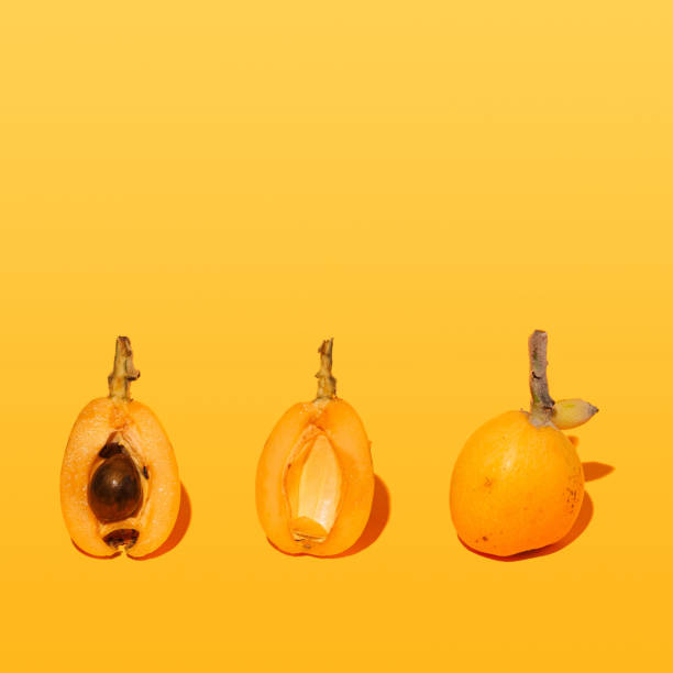 unikalny układ trzy kawałki owoców medlar. koncepcja wykonana z jasnym pomarańczowym tłem. - germanica zdjęcia i obrazy z banku zdjęć