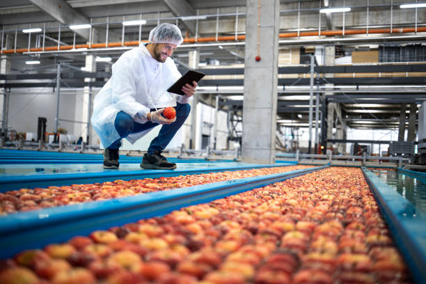 istock Technologist with tablet computer standing by water tank conveyers doing quality control of apple fruit production in food processing plant. 1311410616