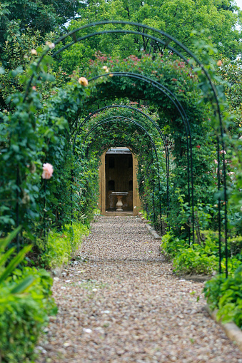 A rose archway walkway in a garden with a stone footpath