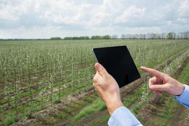 istock Gardening, smart farm control with modern devices 1311410967