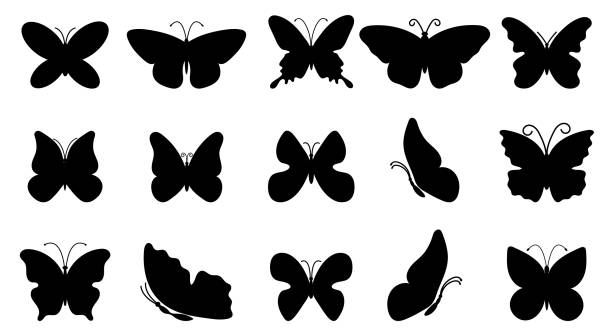 illustrations, cliparts, dessins animés et icônes de grand ensemble des papillons de silhouettes - spring abstract insect dreams