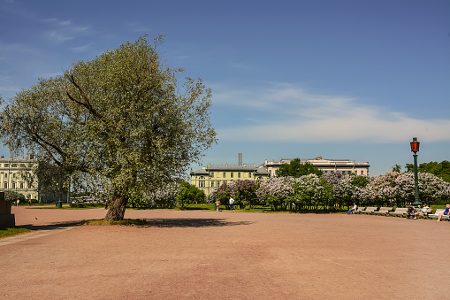 Field of Mars. Saint-Petersburg, Russia. May 26, 2018. Blooming lilacs on the Champ de Mars.