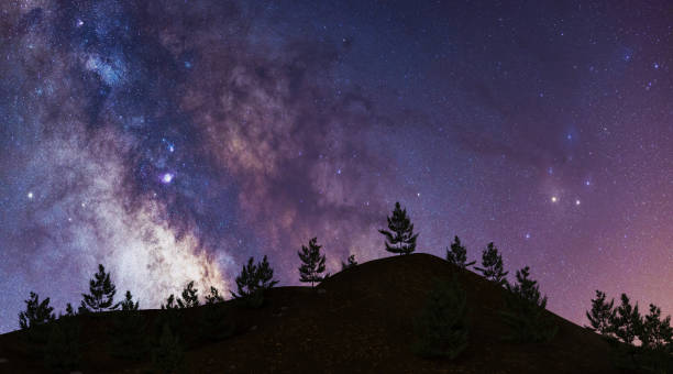 istock milky way on mountain with pine trees. astronomy concept 1311413415