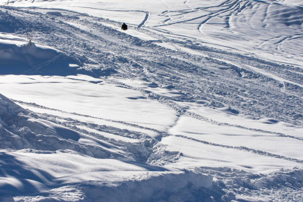 istock man lost in the snow 1311413926