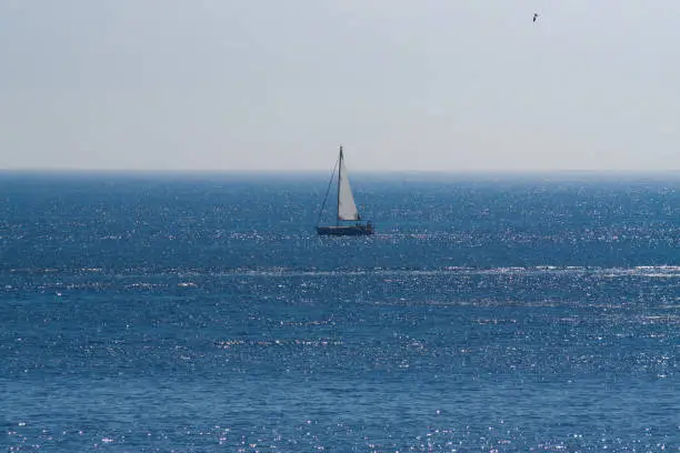 sailboat on the sea