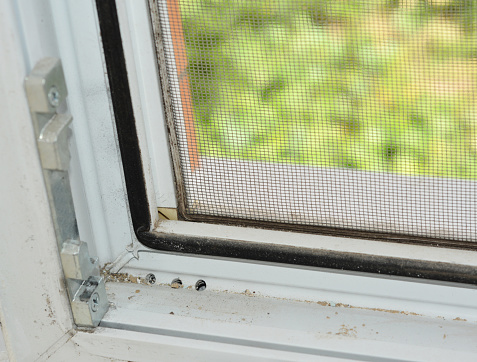 A close-up on an open upvc / pvc window frame with a rubber seal, lock rollers and mosquito screen installed and dirty window tracks covered in dust that needs cleaning.