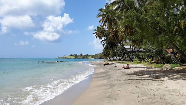 istock white sand beach in Saint Lucia 1311416134