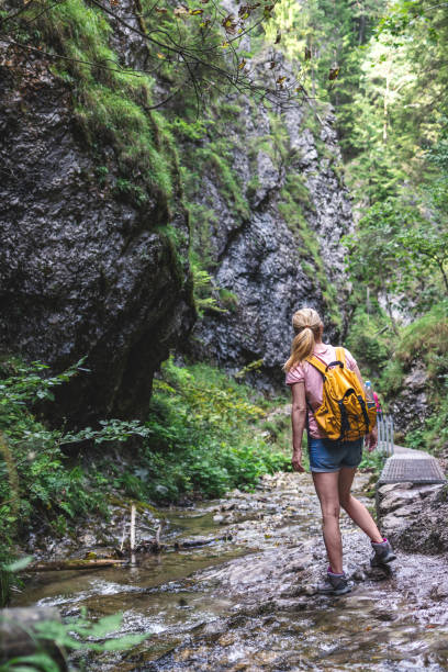 istock Female hiker is trekking in mountains 1311416341