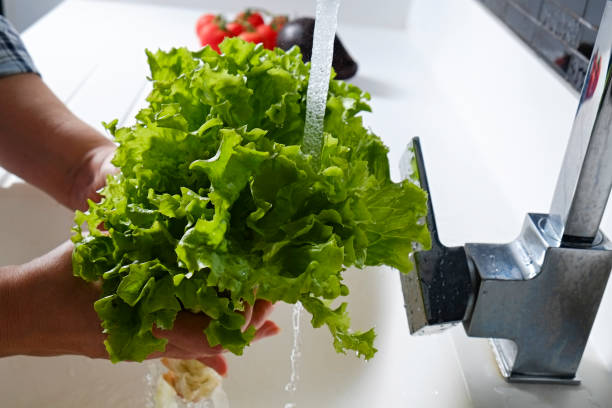 istock Washing the fresh veggies. 1311417107