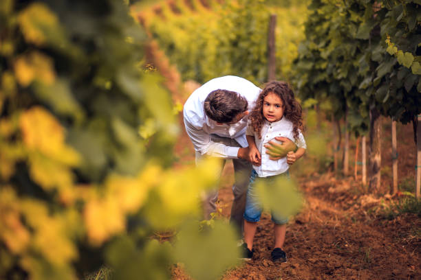istock Father and son in vineyard. 1311423535