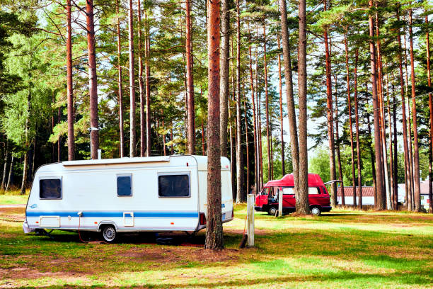 istock Camping holiday with the caravan camper on beautiful campsite 1311424713